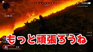 雑編集APEX＿０１　友人さんもいるやつ