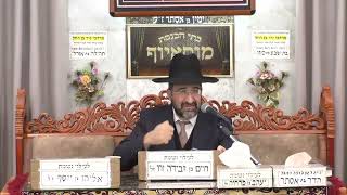 ⭐הרב  אייל שרגא⭐ ⭐פרשת ויגש תשפ"ו⭐  בית הכנסת מוסאיוף