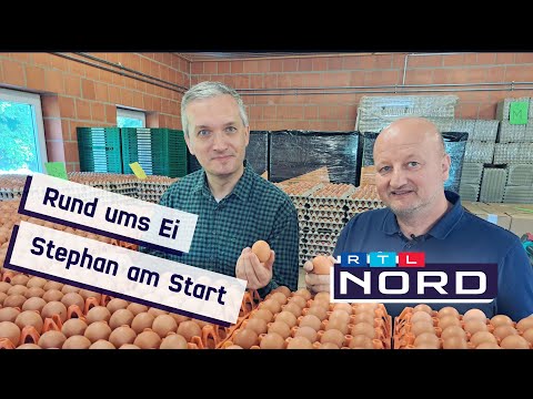 Hier dreht sich alles rund ums Ei!