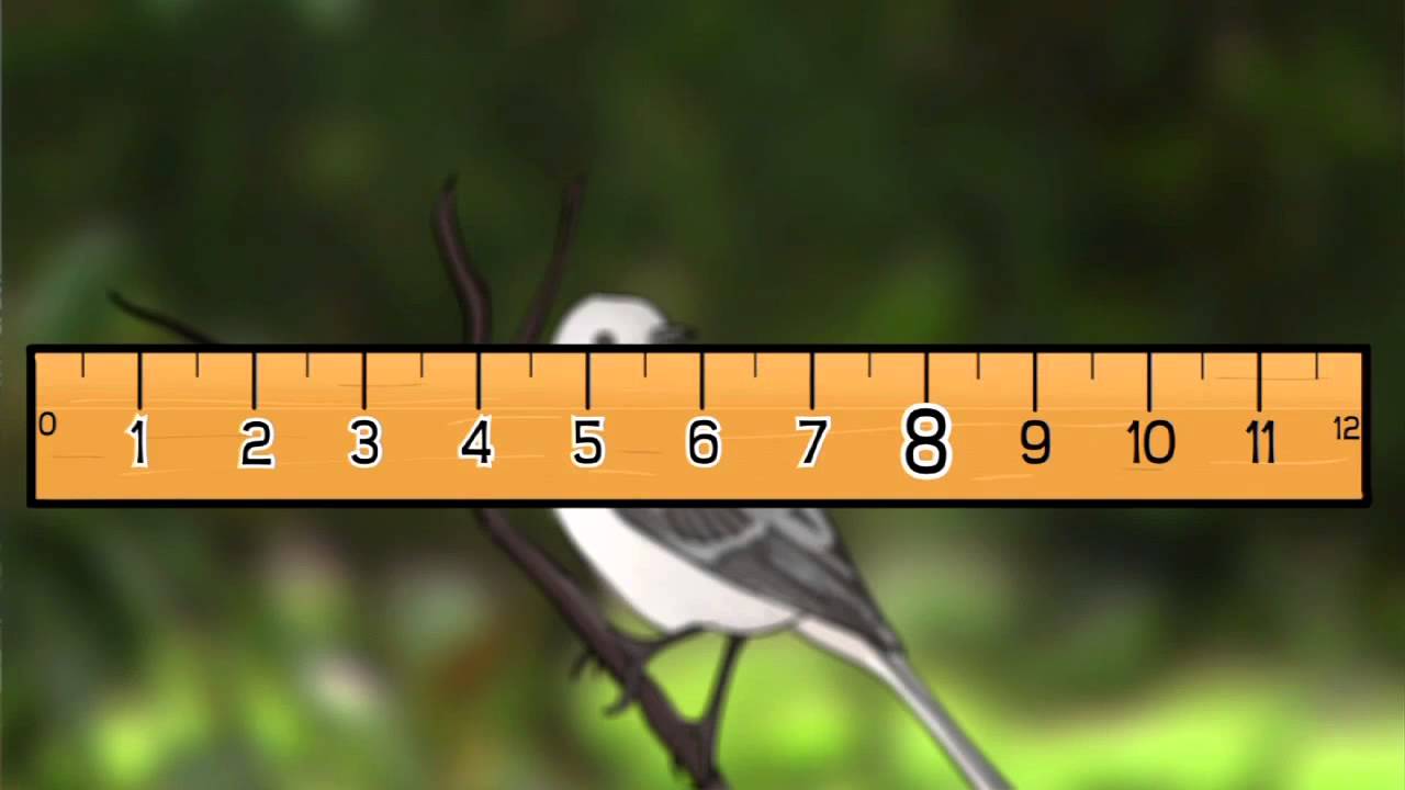 What Is Scale? | ArtQuest | NPT