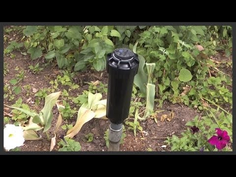 How to replace a Rain Bird 5004 rotor - YouTube