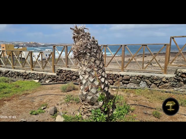 Abandono de los Jardines en el Agujero de Gáldar
