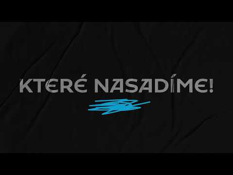Náhled pro video reference
