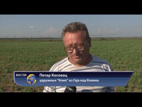 RTV Pančevo: Ko su uzurpatori? 2. deo