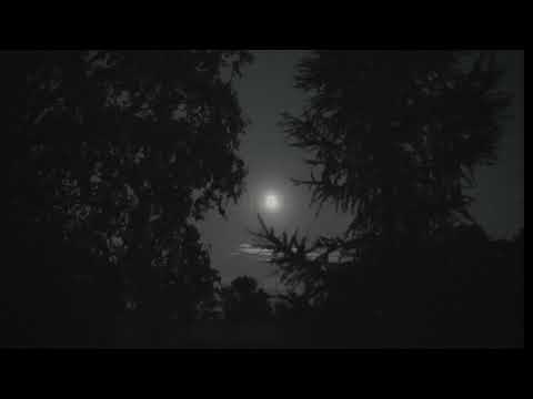 Mielcar Junior - The Presja feat. Nitti Nit (Prod. Człowiek)