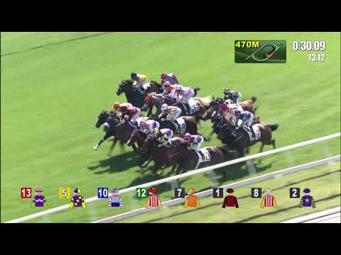 28/11/2021 (205) Sparkling Dolphin - Z Purton