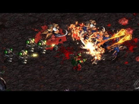 Sunny 🇰🇷 (T) vs Terror 🇰🇷 (Z) on Outsider - StarCraft - Brood War REMASTERED