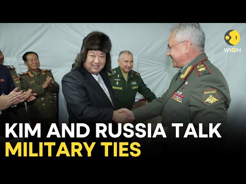 Russia-Ukraine War LIVE: North Korea's Kim, Russia talk up military ties in new 'heyday' - KCNA