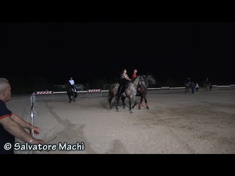 Mistretta (ME) - Spettacolo equestre 2022