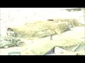 Indo Pak Kargil War 1999 Real Video India Vs Pakistan War