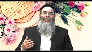 הסדר שלומדים מליל הסדר - הרב אלון כהן שליט"א