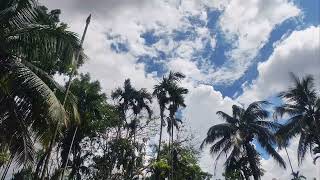 Nice weather today #cute #trending #daliyvlog