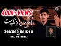 Zeeshan Haider New Noha 24 وای از دل زینب Muharram Ul Haram Azadar Muharram2024