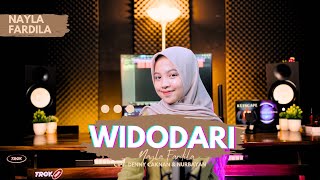 Download lagu Nayla Fardila - Widodari mp3