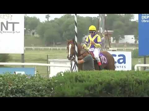 SINT COLONIA -  221113 c06- 1° UNIVOCO