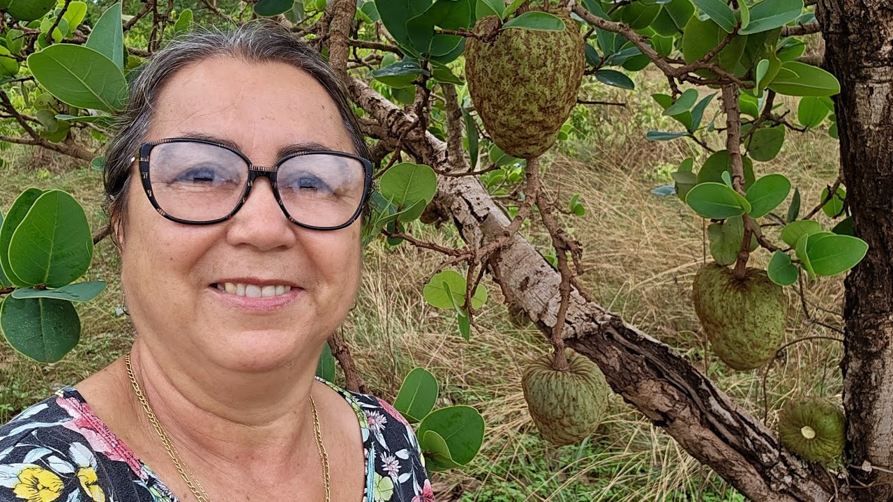 SABADÃO NA ROÇA | VOCÊ CONHECE MAROLO?FIZ COSTELA DE BOI PARA O ALMOÇO.