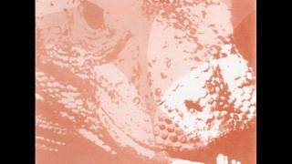 Misty Roses - Skyline