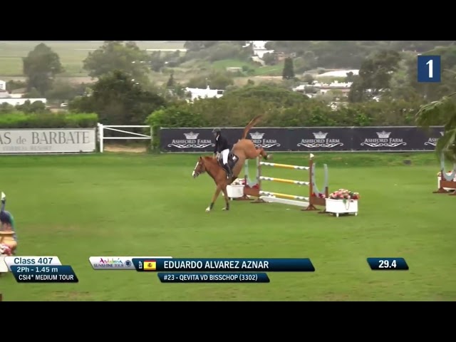 Half-sister of the mother is the CSI 1.60m jumping mare Qevita v/d Bisschop with rider Eduardo Alvarez Aznar.