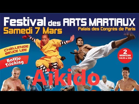L'Aikido au 30e Festival des arts martiaux 2015 avec Bruno Gonzalez
