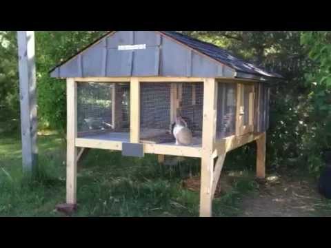 craigslist bunny hutch