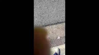 Young Sizzle - Spelling B (Part 3)