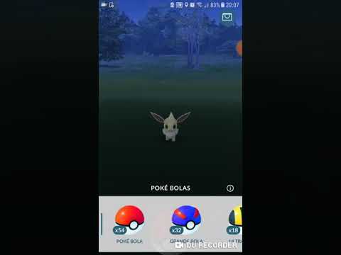 Evoluindo um eevee shiny