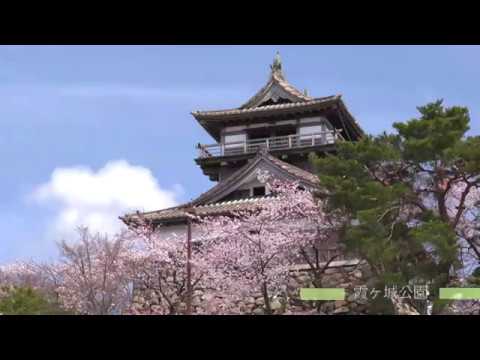美しの里山（丸岡城の桜）