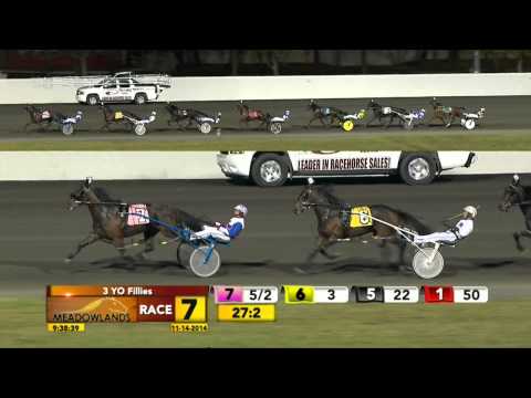 Breeders Crown Elimination - Color's A Virgin - November 14, 2014