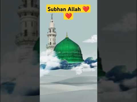 Say Subhan Allah ❤️ #arabic #shortsfeed #memes #shorts #naat