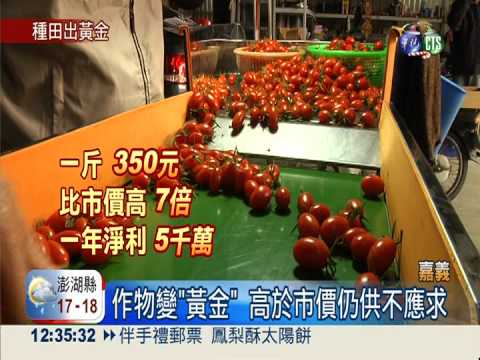 嘉義"天下第一班" 蔬果年產破億!