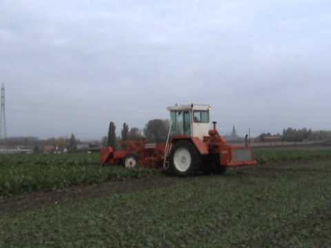 Landb. Casteele - Geluwe