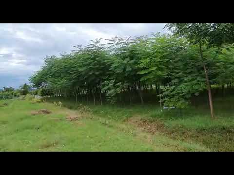 Walkthrough Walkthrough