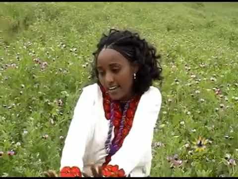 ቤተልሄም አክሊሉ Betelehem aklilu (2012) bagar #ethiopia