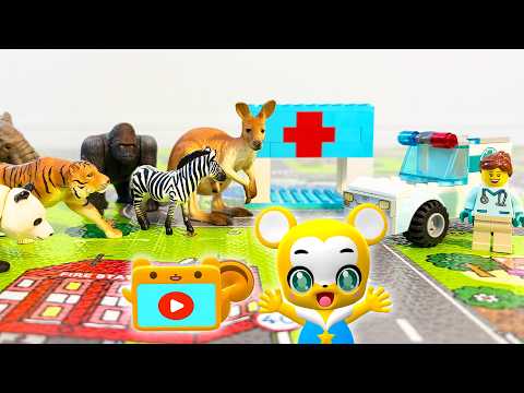 【おもちゃ】動物のお医者さんごっこ！★救急車★動物がいっぱい★子供向け知育動画★赤ちゃん喜ぶアニメ
