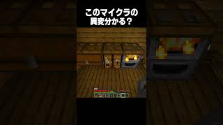あなたはこの異変に気づける？ #minecraft