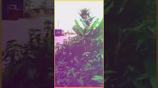 Download lagu STORY WA 'IKAN IKAN' ( IWAN FALS ) Lokasi : Kab.Grobogan Jateng. mp3 Download lagu STORY WA 'IKAN IKAN' ( IWAN FALS ) Lokasi : Kab.Grobogan Jateng. mp3