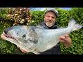 I Fillet An Atlantic Salmon And Deep Fried It