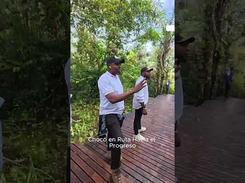 Avances del sendero ecológico, mantenimiento y construcción del mirador en Beté - Medio Atrato. 🌳