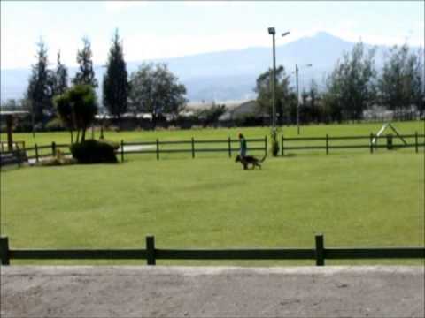 BH - Exxon de la Casa de Apolo