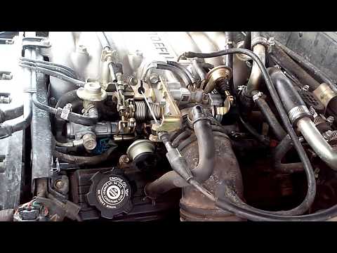 download lagu mp3 mp4 VA Lost Without You 2005 TPS, download mp3 VA Lost Without You 2005 TPS free downloadn, video klip VA Lost Without You 2005 TPS