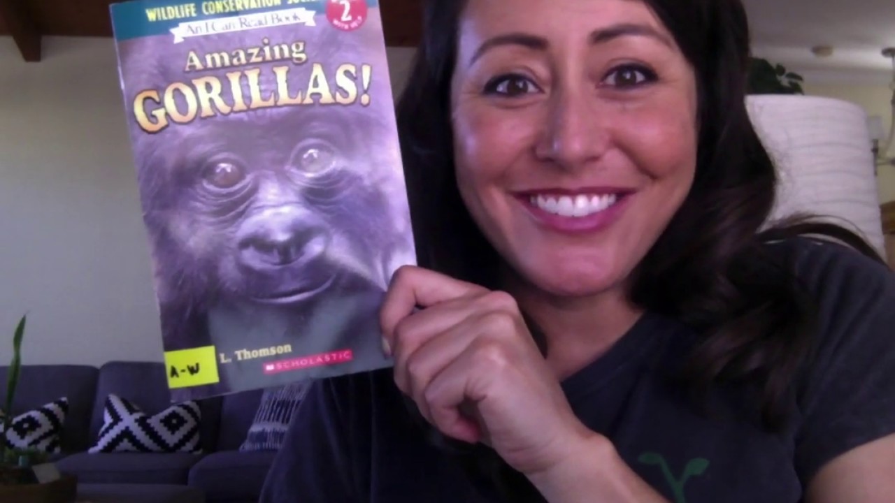 Amazing Gorillas! by Sarah L. Thomson - Read Aloud