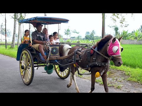 Keysha, Sheena & Aracelli Ride a Special Delman Horse Carriage