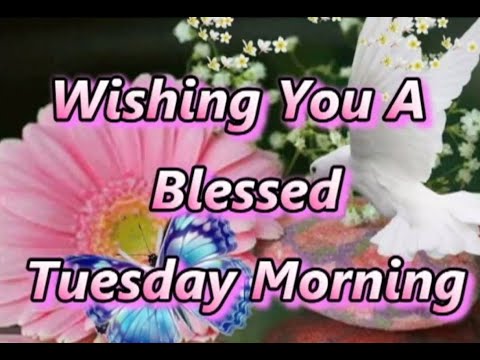 Tuesday Wishes,Tuesday Greetings,Morning Prayer,Good Morning Whatsapp Video,Sms