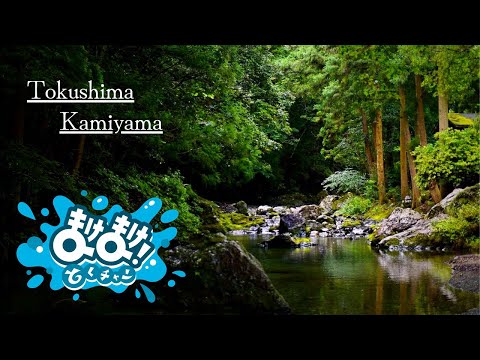 Day camp　in  Kamiyama     ～徳島県神山町でデイキャンプ～