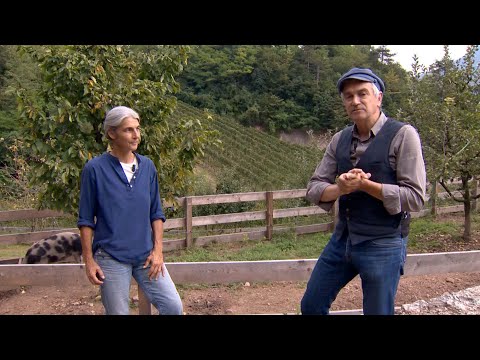 ROTALIANA, MEZZOLOMBARDO: L' AZIENDA AGRICOLA COME ORGANISMO UNITARIO.