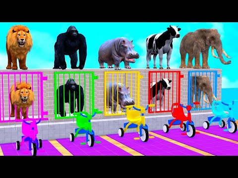 Learn Wild Animals Running Race Video For Kids - Learn Animals Names & Sounds For Children