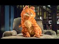 Garfield All Clips From The Movie 2004
