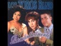 Los Toros Band - Sin Ti (1995)