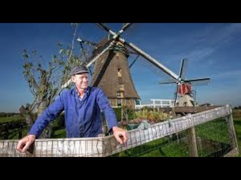 MOLEN AARLANDERVEEN 2002