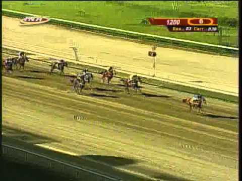 Resumen Sábado, 11 de Octubre de 2014 - La Rinconada